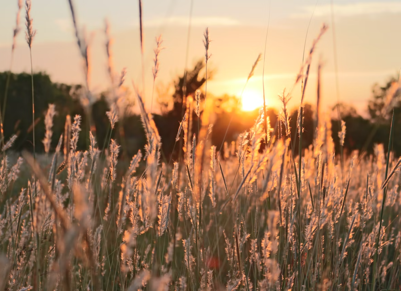 “Carpe Diem: Aprovecha el día”; la reflexión del Dr. José Antonio Lozano Díez