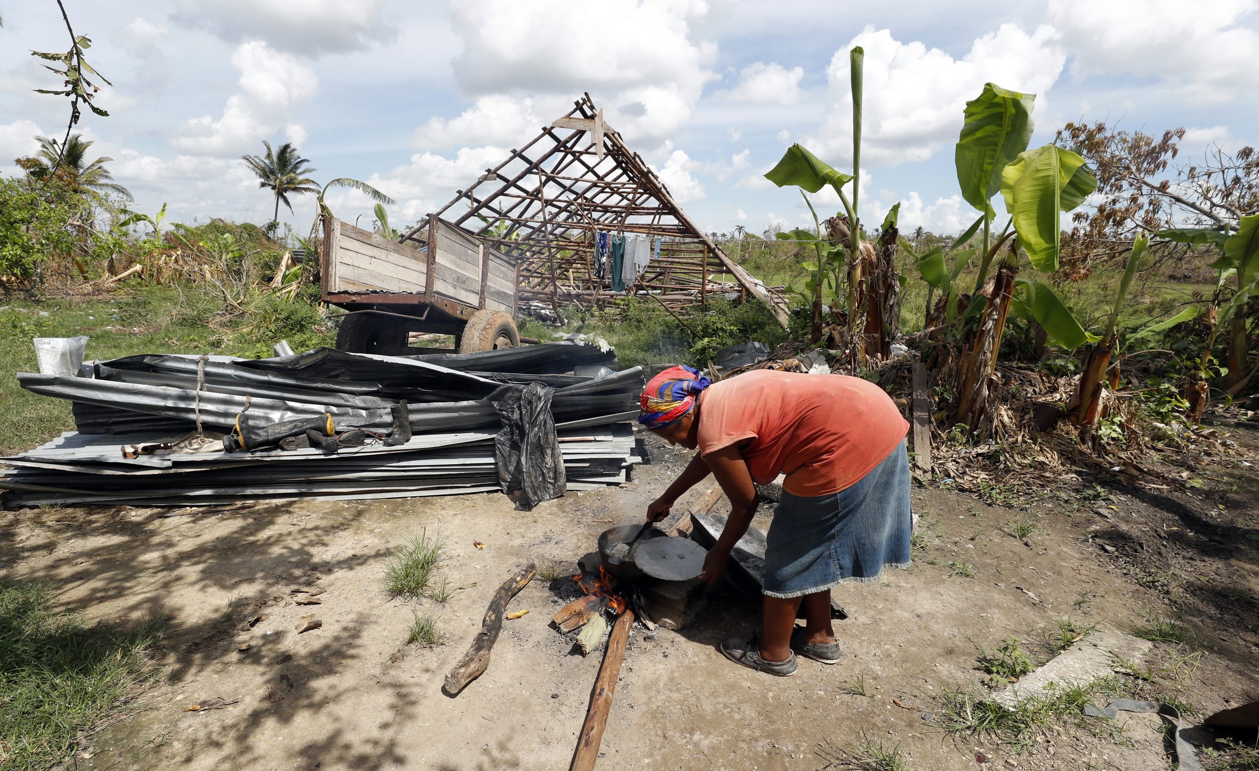 Comienza siembra de tabaco en zona cubana más devastada por huracán Ian Comienza siembra de tabaco en zona cubana más devastada por huracán Ian