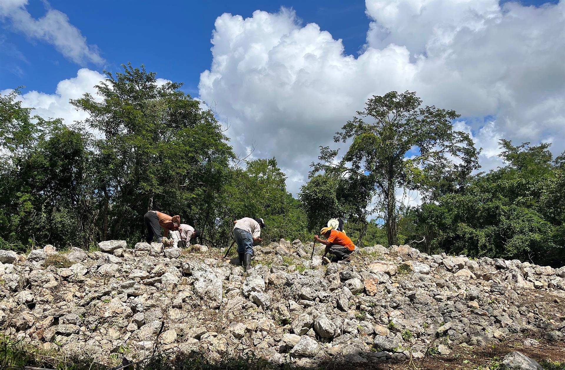 Hallan nuevas estructuras mayas en paraíso prehispánico de Yucatán Hallan nuevas estructuras mayas en paraíso prehispánico de Yucatán