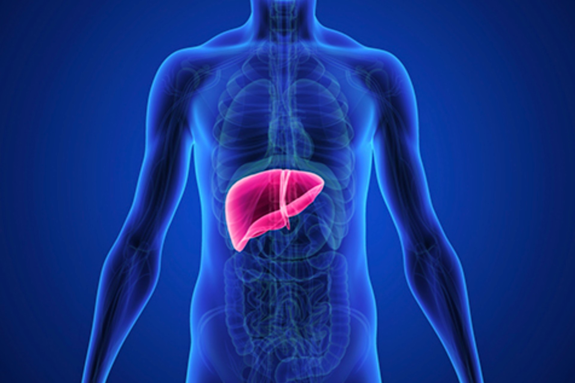 Médicos estiman que uno de cada dos mexicanos vive con hígado graso no alcohólico