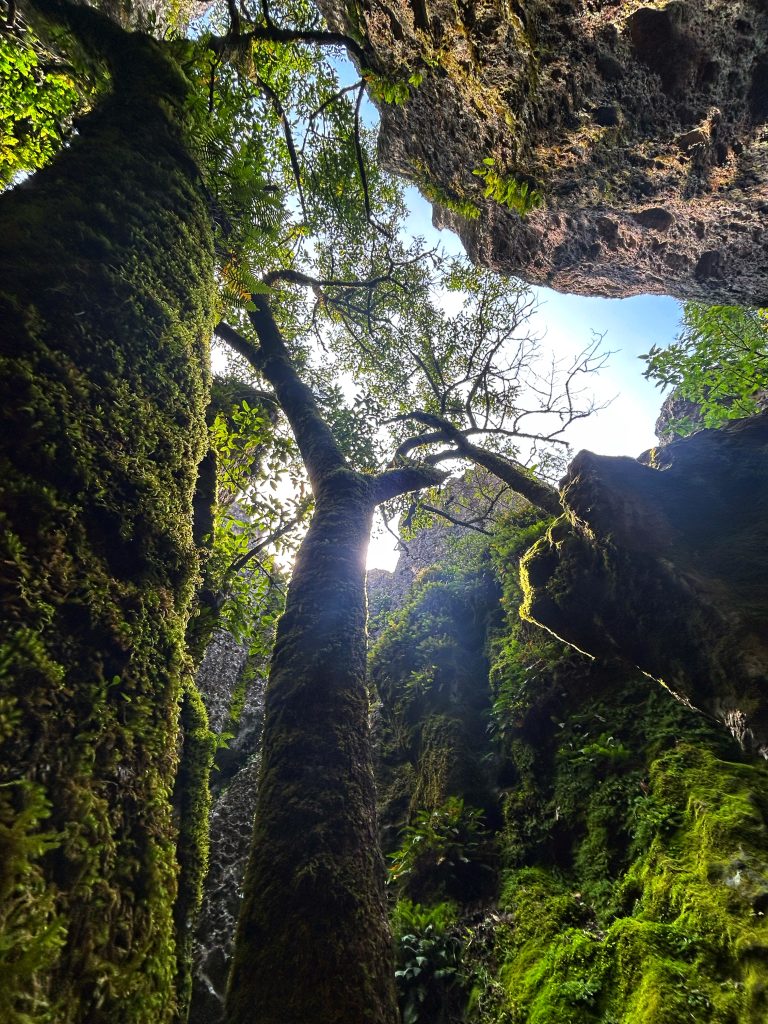 Este es el smartphone ideal para los amantes de la fotografía y creación de contenido - img-9094-768x1024