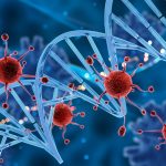 Desarrollan una nueva terapia para la leucemia linfoblástica aguda de células T