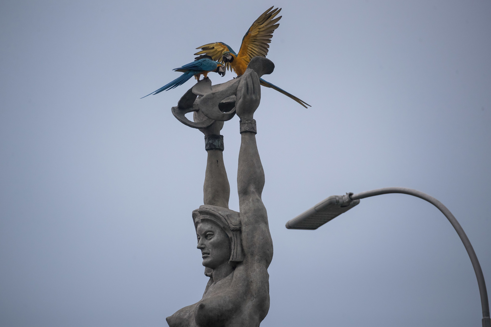 La deidad venezolana que provoca una pelea del más allá