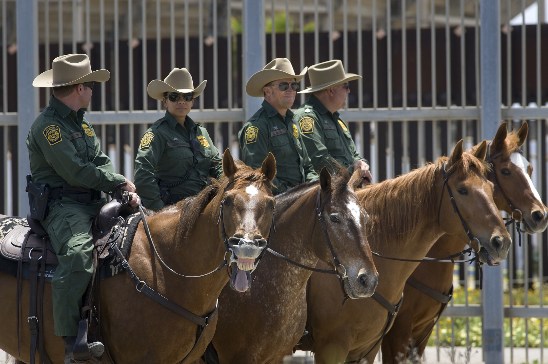 Mayoría de alguaciles en Estados Unidos son trumpistas y quieren reforzar la frontera Mayoría de alguaciles en Estados Unidos son trumpistas y quieren reforzar la frontera