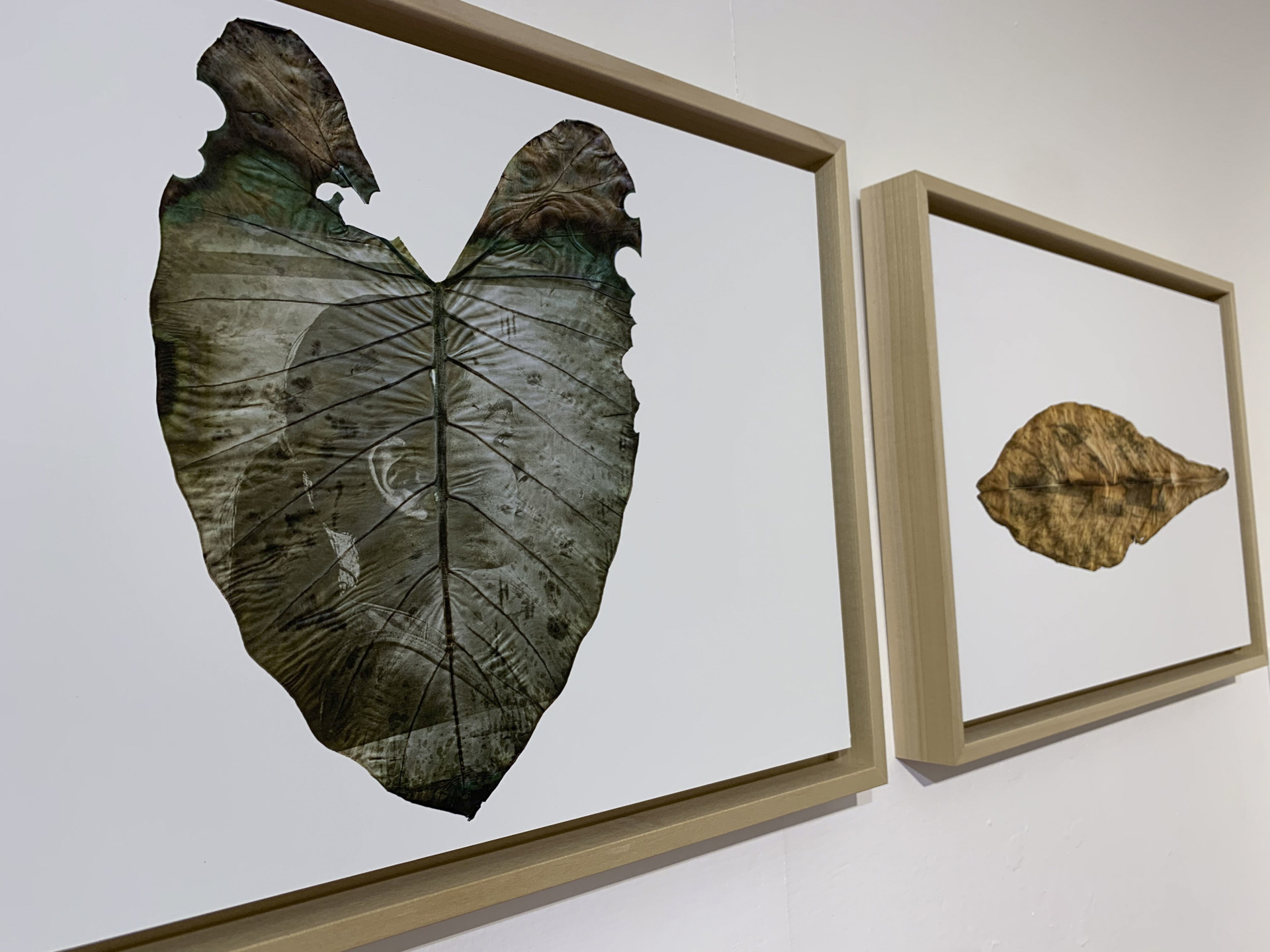 Museo de Roma visibiliza proyectos fotográficos de jóvenes latinoamericanos