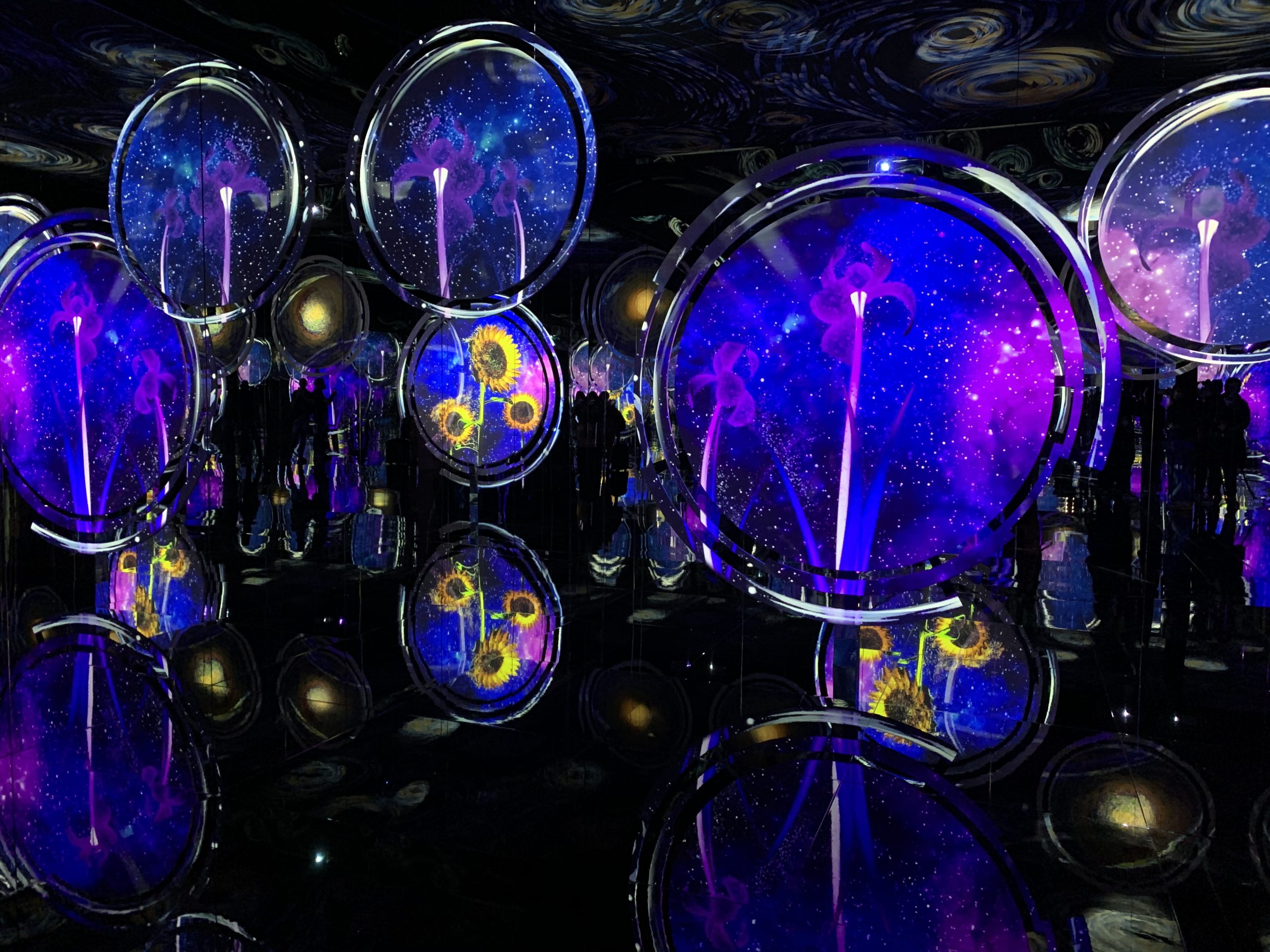 Van Gogh brilla en Roma con una gran muestra Van Gogh brilla en Roma con una gran muestra