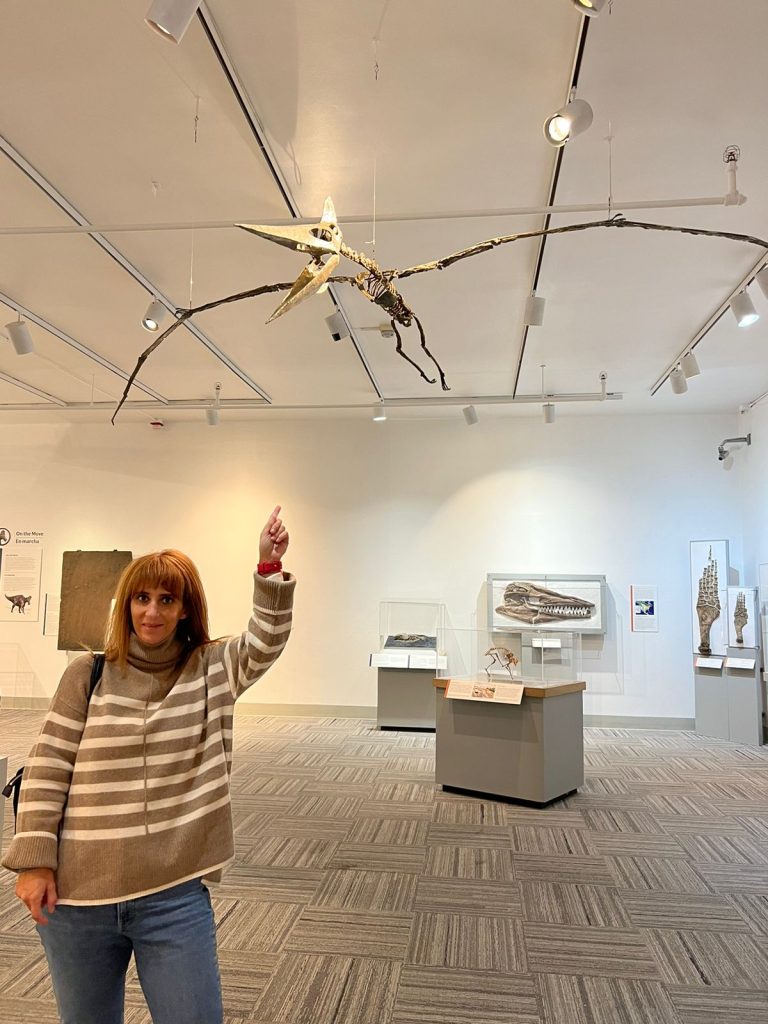 El Pteranodon: uno de los reptiles voladores más grandes de Norteamérica y su gran parecido con los pelícanos - whatsapp-image-2022-10-26-at-183516-768x1024