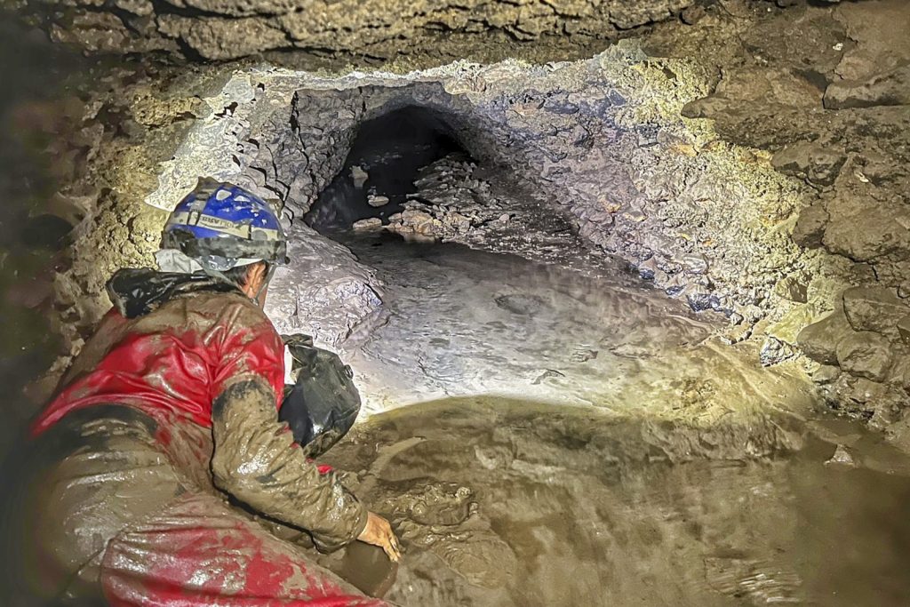 Encuentran en las tuberías del Coliseo de Roma los restos de sus últimos espectáculos - coliseo-de-roma-2-1024x683