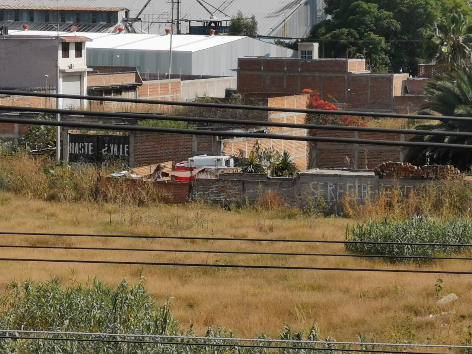 Fiscalía de Guanajuato confirma hallazgo de restos humanos en fosas de Irapuato