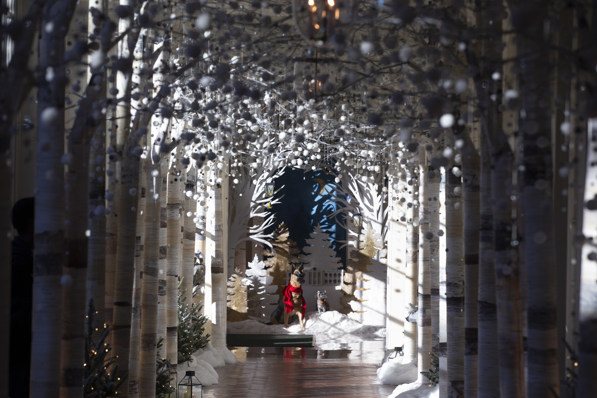 Jill Biden engalana la Casa Blanca con más de 70 abetos y 83 mil luces