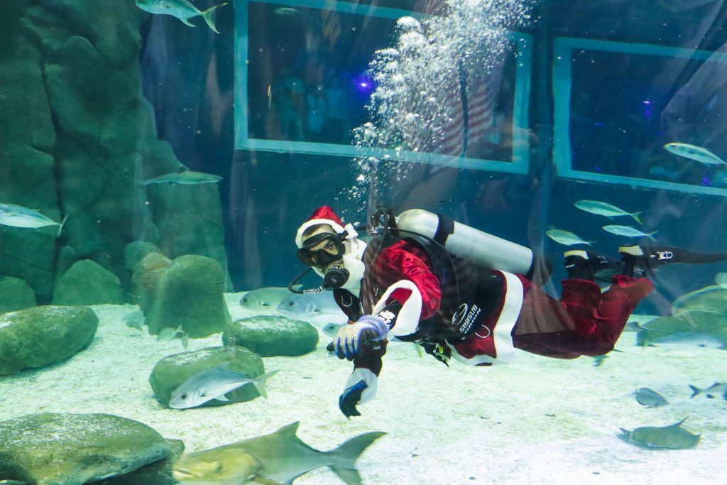 #FOTOS: Santa Claus Río de Janeiro, feliz por alegrar y educar a los niños - 4da191cdc0a88022e3bb07fc97dc9f3943e85465w-1024x683