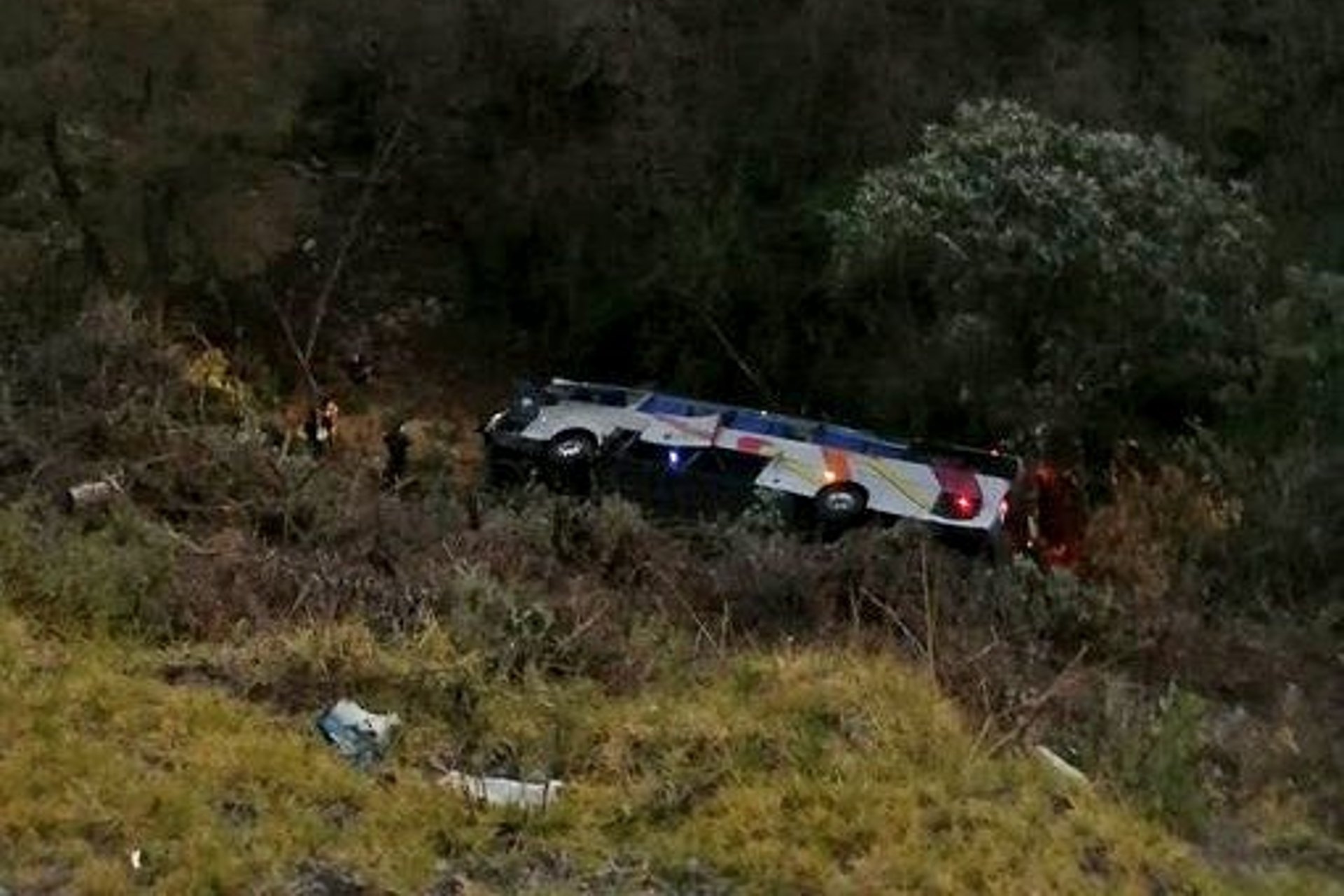 Choca autobús en la autopista México-Puebla; hay al menos un muerto y 17 lesionados Choca autobús en la autopista México-Puebla; hay al menos un muerto y 17 lesionados
