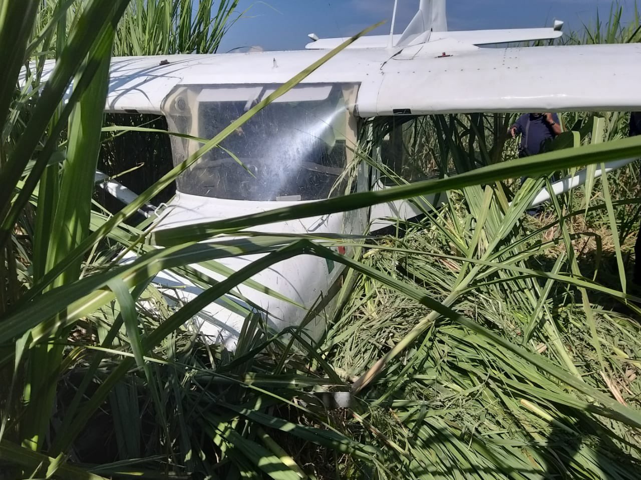 Cae avión pequeño en Ayala, Morelos