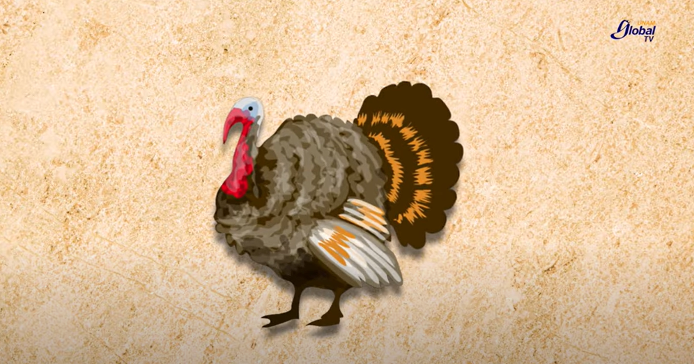 Urge incentivar el consumo del guajolote