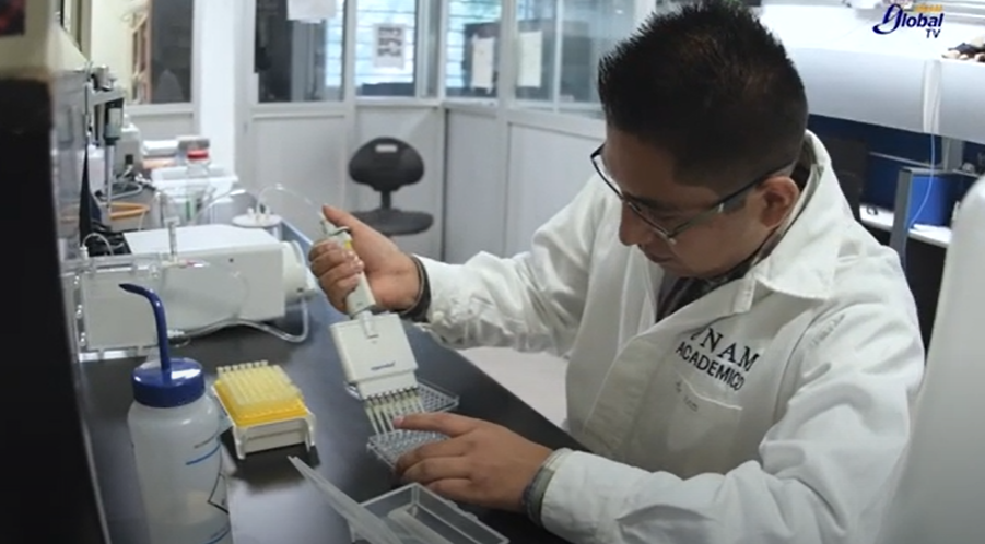 UNAN desarrolla proteína optimizada con bajo impacto ambiental