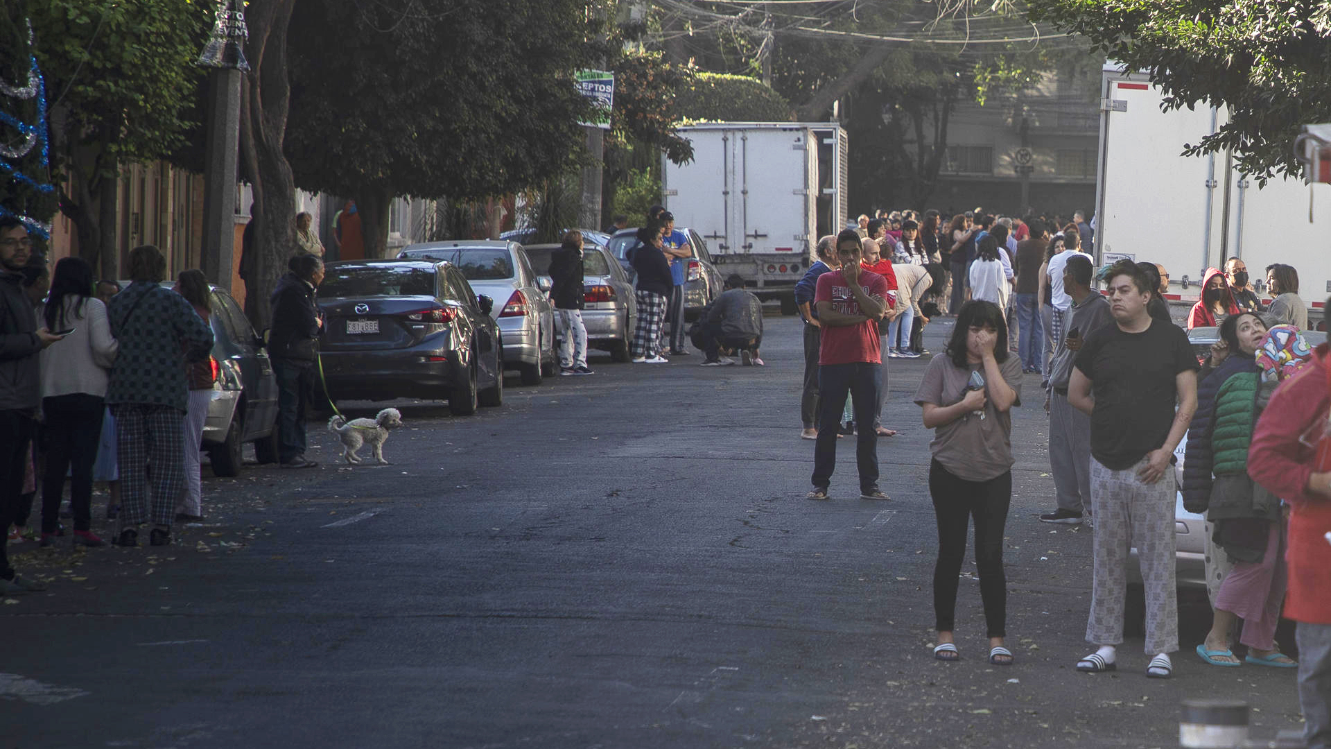 Se registra sismo magnitud 6 con epicentro en Guerrero; descartan daños en CDMX