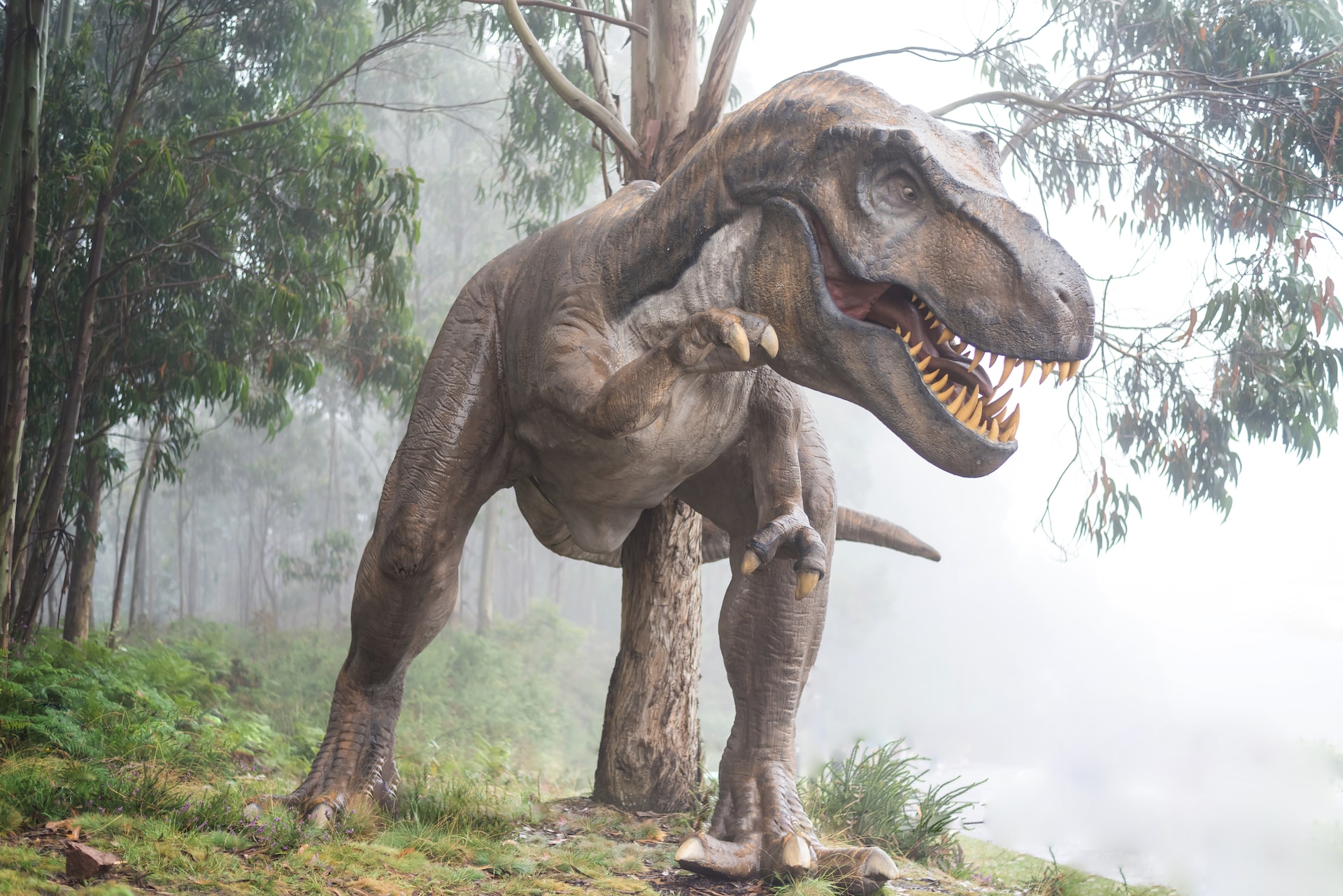 Cambio climático fue clave en el ascenso de los dinosaurios