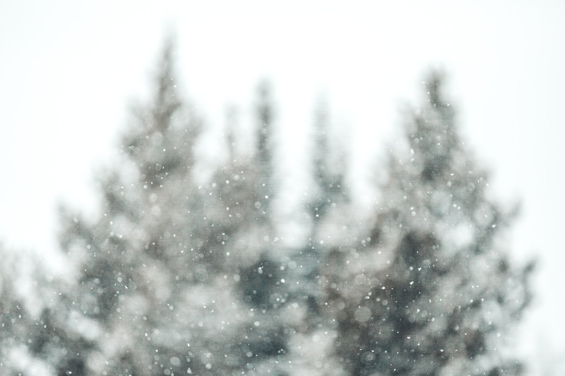 Tormenta invernal avanza hacia el noreste de EE.UU. con nevadas y apagones