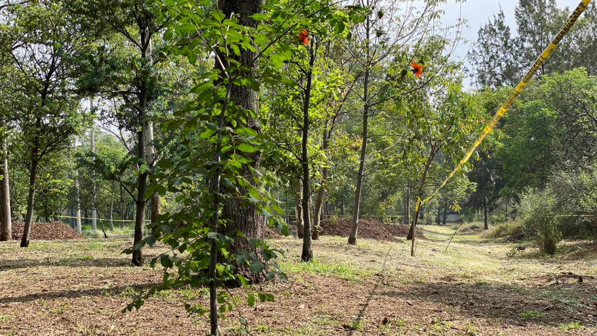 Nueva invasión al Bosque de Chapultepec con dos edificios Nueva invasión al Bosque de Chapultepec con dos edificios