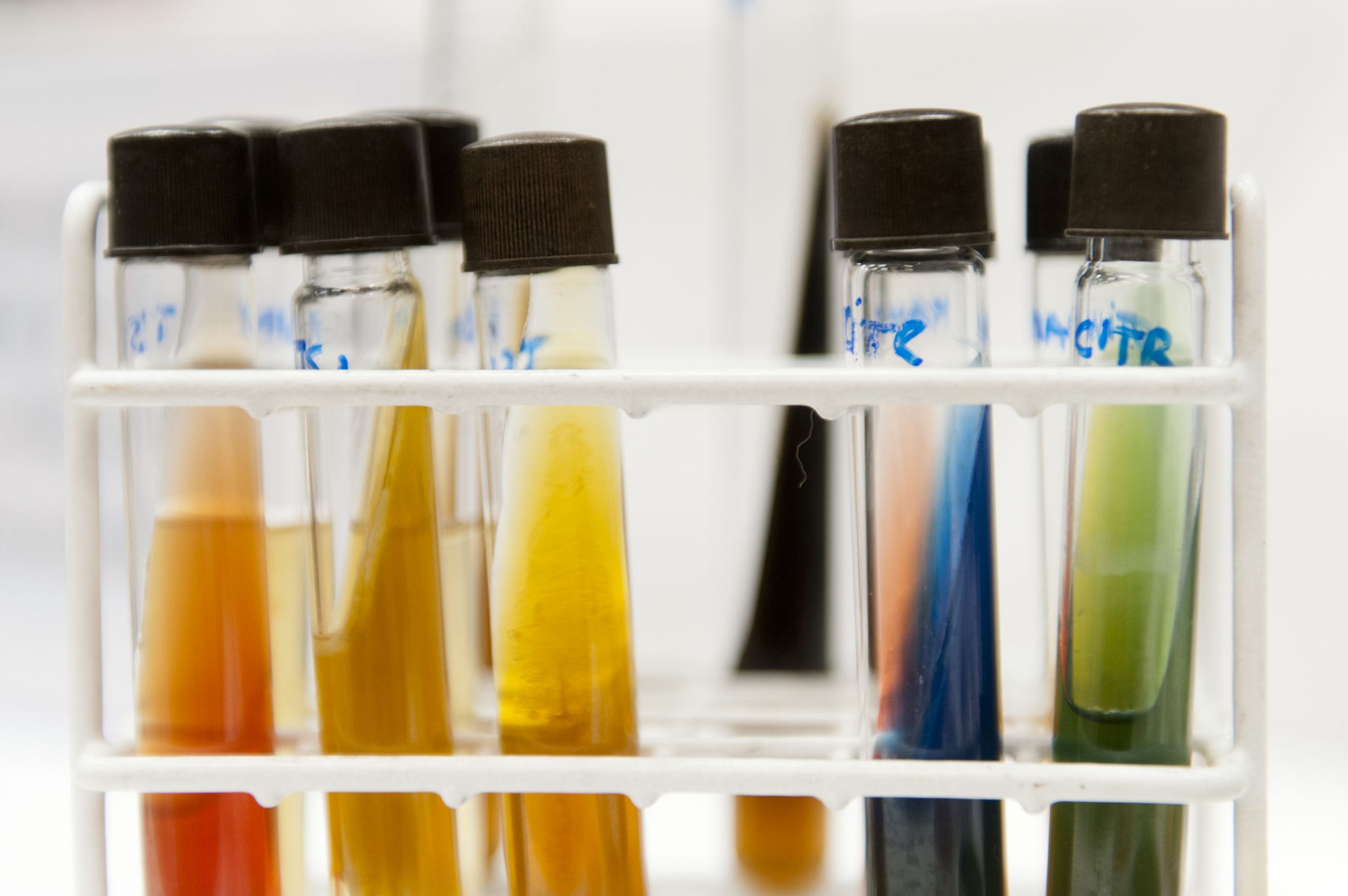 Vacuna argentina contra COVID-19 logra financiamiento para estudios clínicos