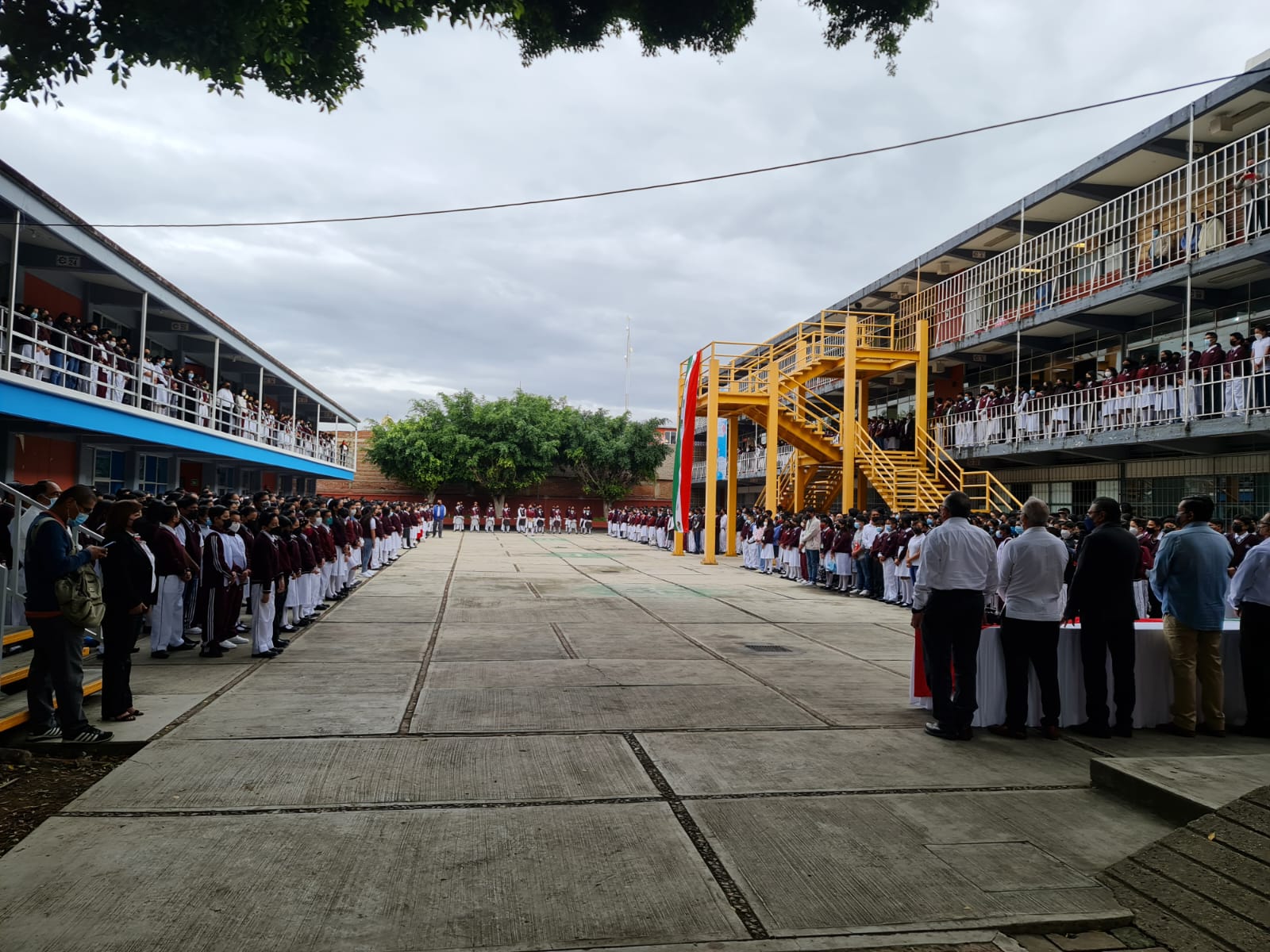 Suspenden regreso a clases en secundaria de Oaxaca por plaga de ratas