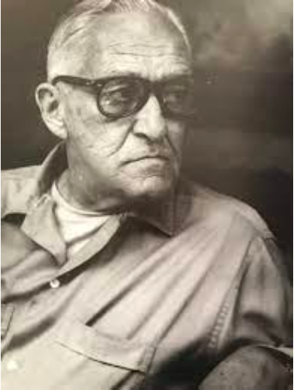 El verdadero color de la plata - el-verdadero-color-de-la-plata-5