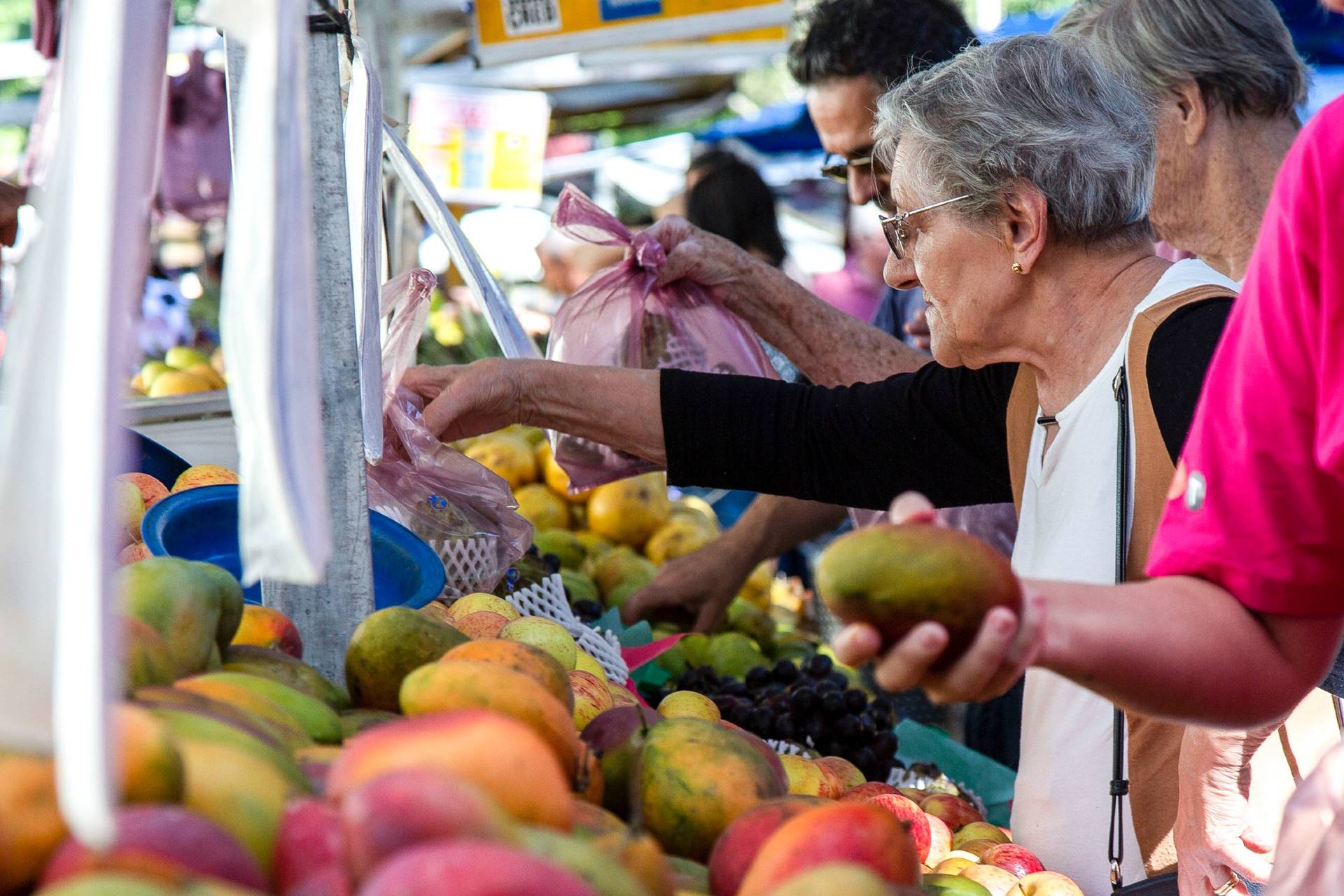 ONU: indicador de hambre y pobreza retrocede y emergencia climática acelera ONU: indicador de hambre y pobreza retrocede y emergencia climática acelera
