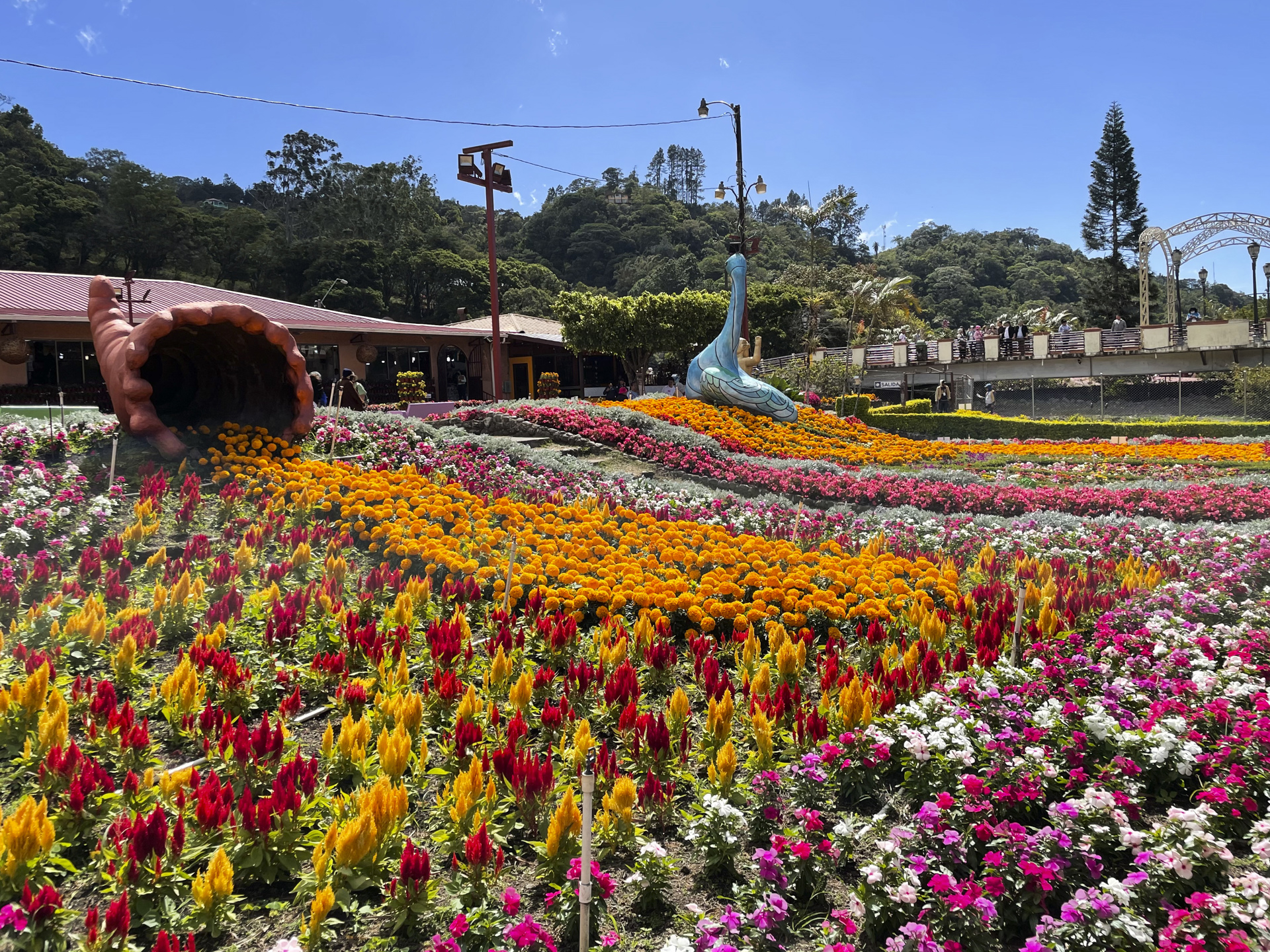 La colorida feria de flores y café de Boquete cumple 50 años de historia en Panamá