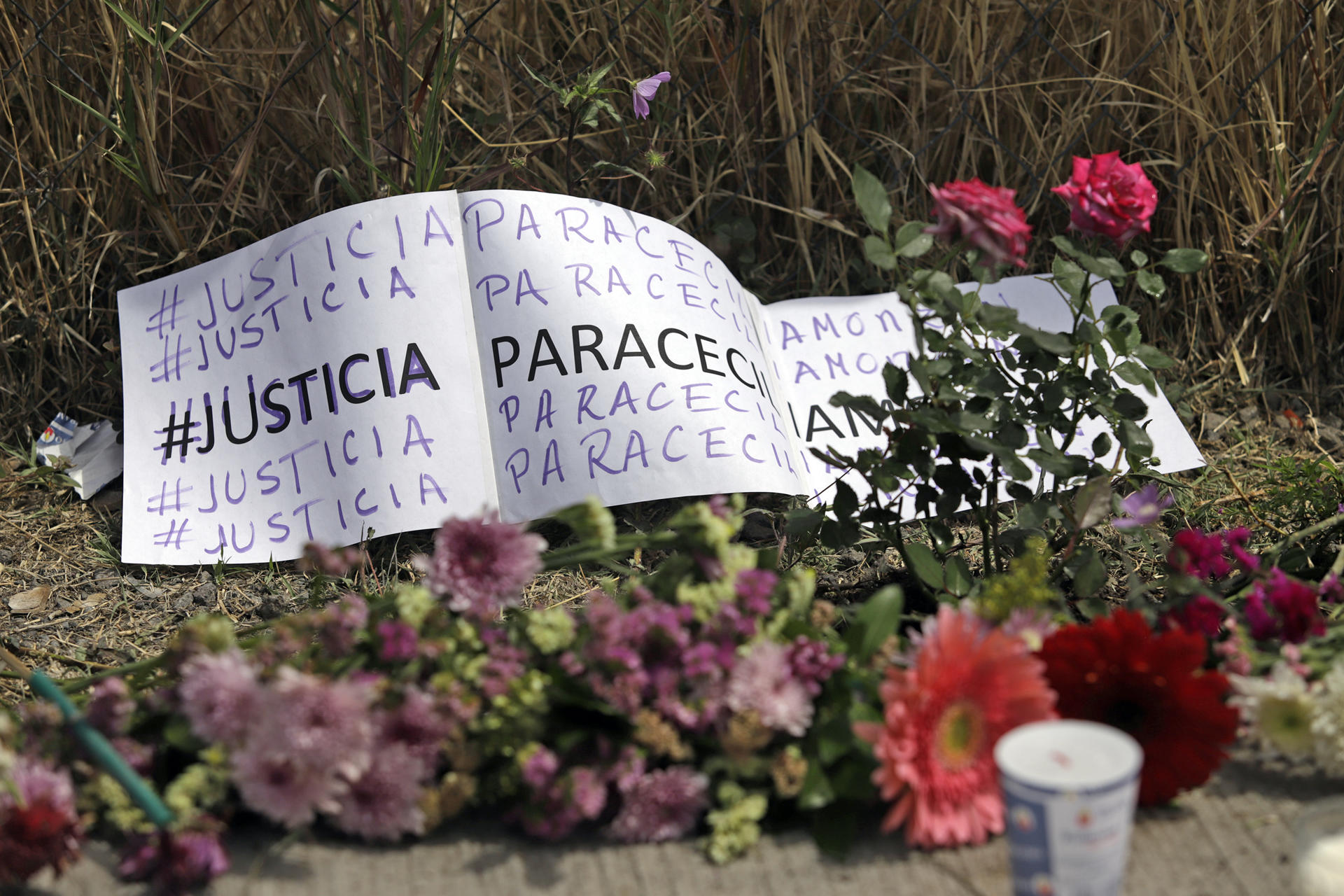 ONG denuncia 22 ejecuciones de activistas a manos del Estado mexicano en 2022 ONG denuncia 22 ejecuciones de activistas a manos del Estado mexicano en 2022