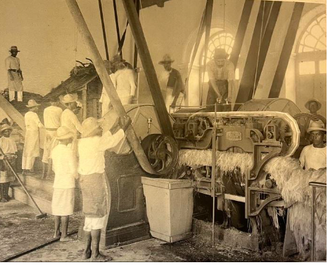 La vida en las haciendas de Yucatán - la-vida-en-las-haciendas-de-yucatan-4