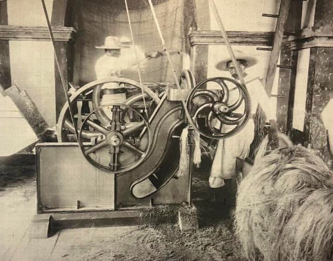 La vida en las haciendas de Yucatán - la-vida-en-las-haciendas-de-yucatan-6