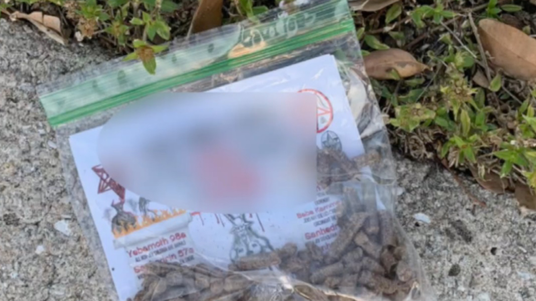 Policía de Florida investiga distribución de panfletos antisemitas