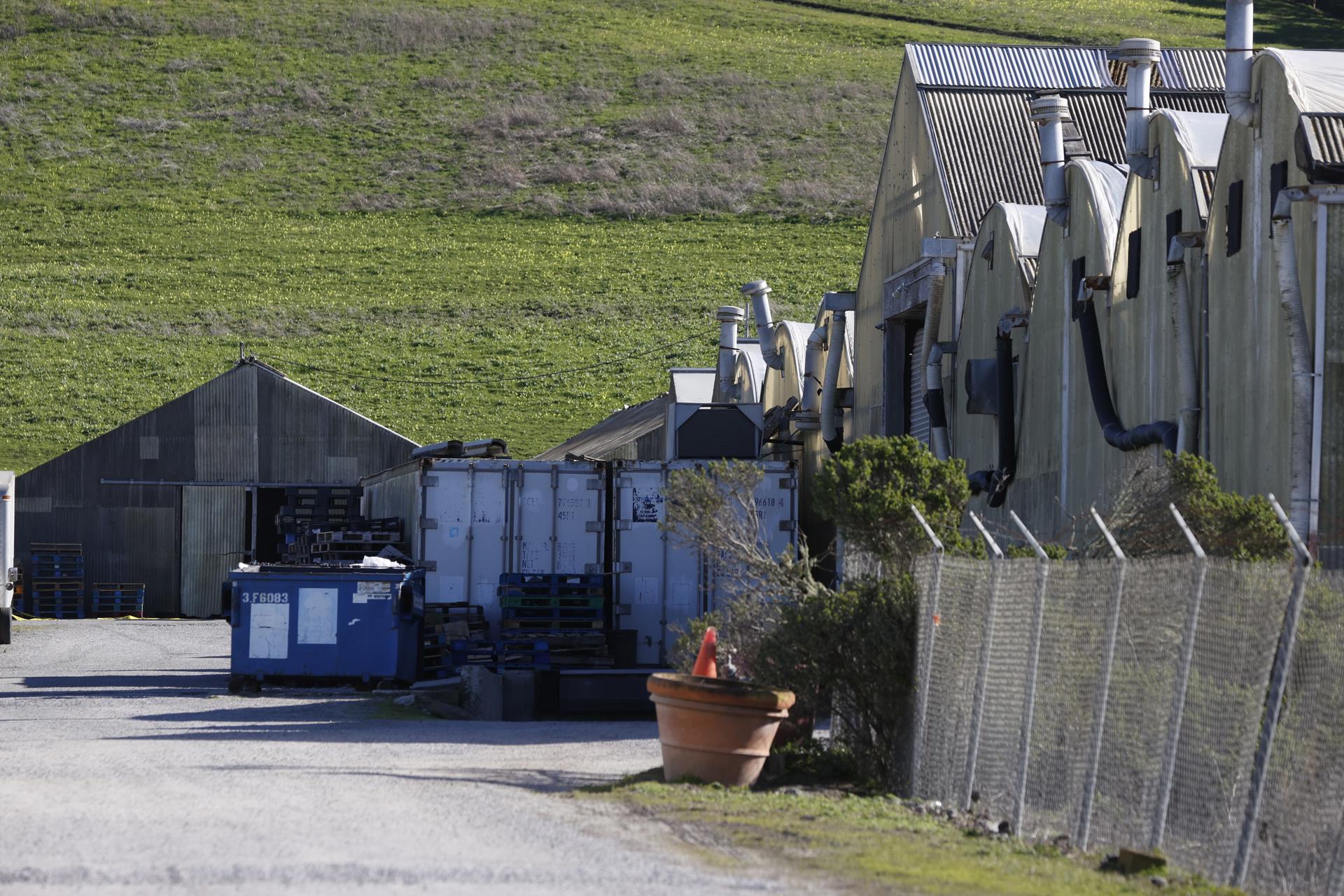 Ebrard promete apoyo para víctimas mexicanas de tiroteo en California Ebrard promete apoyo para víctimas mexicanas de tiroteo en California