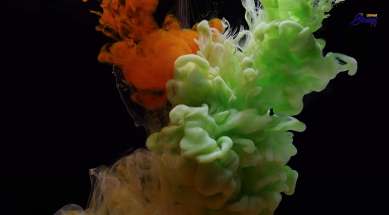 Develan incógnitas del arte a través del color