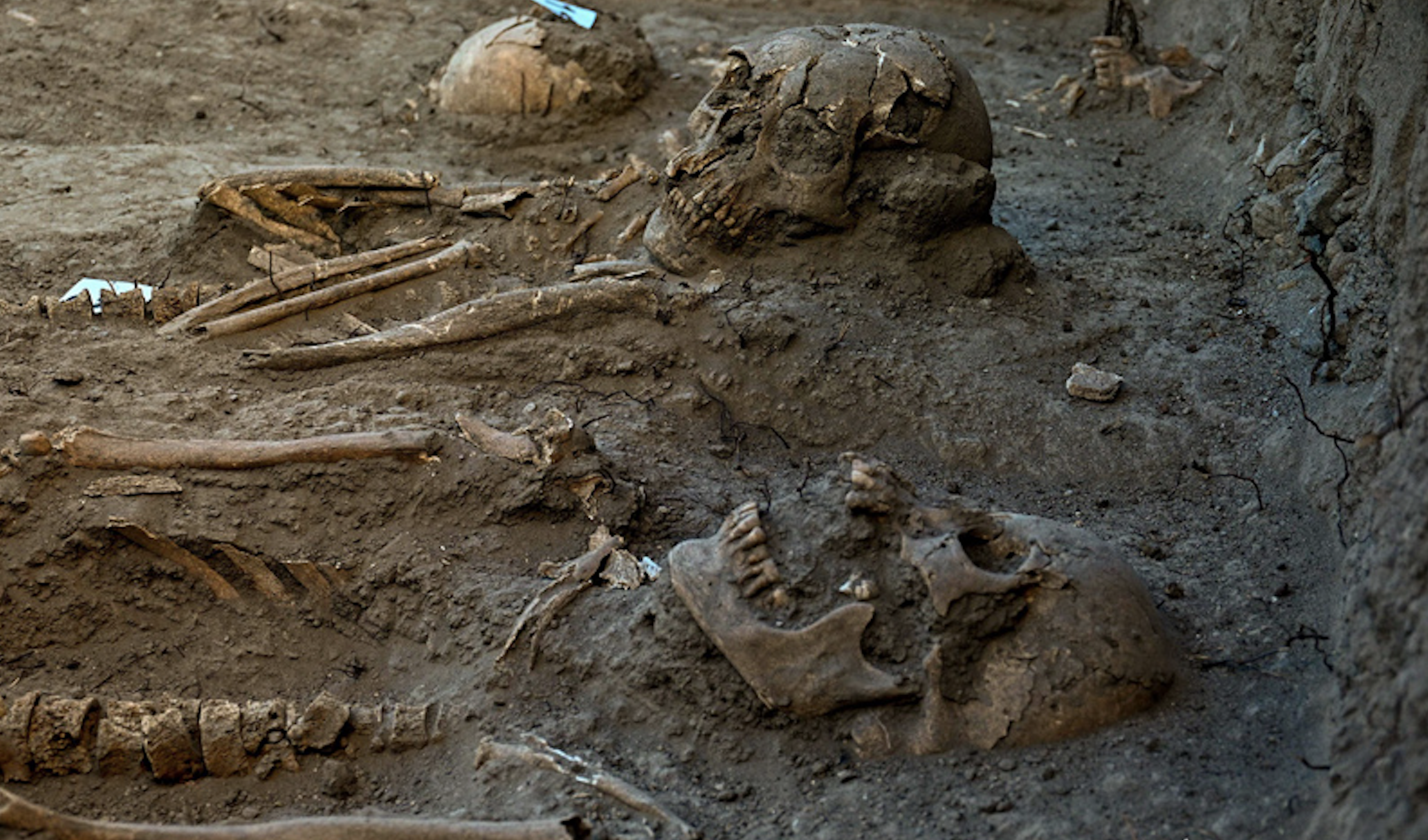 Encuentran cementerio virreinal en el Bosque de Chapultepec