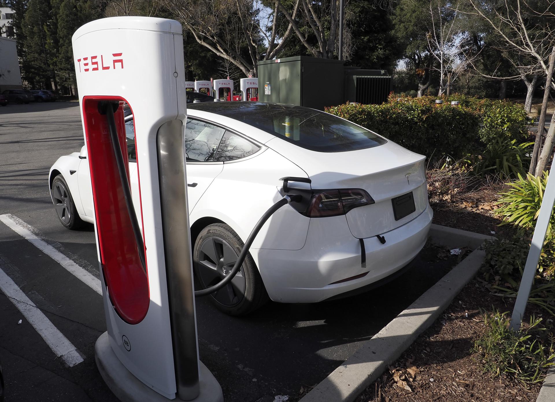 Samuel García celebra planta de Tesla en Monterrey; “Ganamos todos”, dice