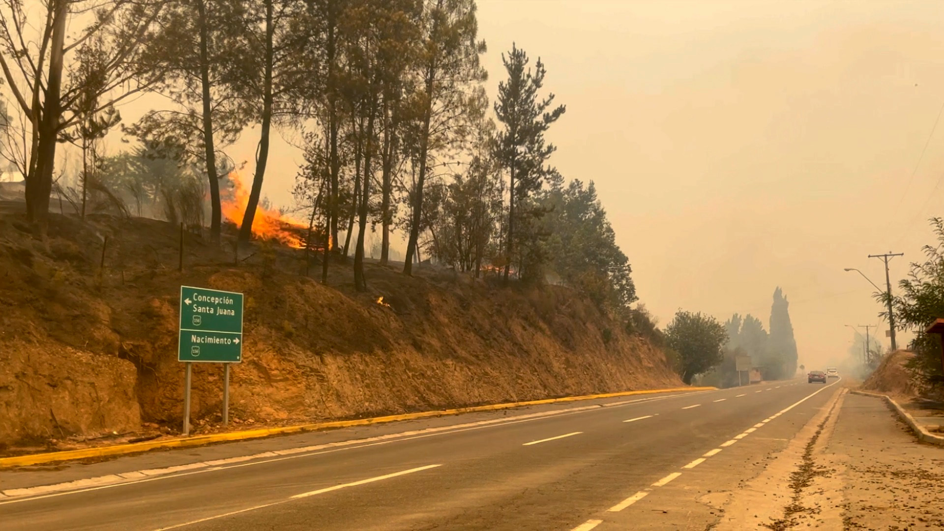 Chile pide ayuda contra incendios a México, Brasil, Argentina, Uruguay y España Chile pide ayuda contra incendios a México, Brasil, Argentina, Uruguay y España