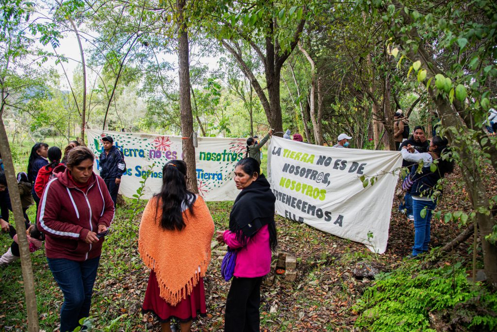 Marchan en Chiapas para exigir protección a ecosistemas de agua - marchan-en-chiapas-para-exigir-proteccion-a-ecosistemas-de-agua-1024x684