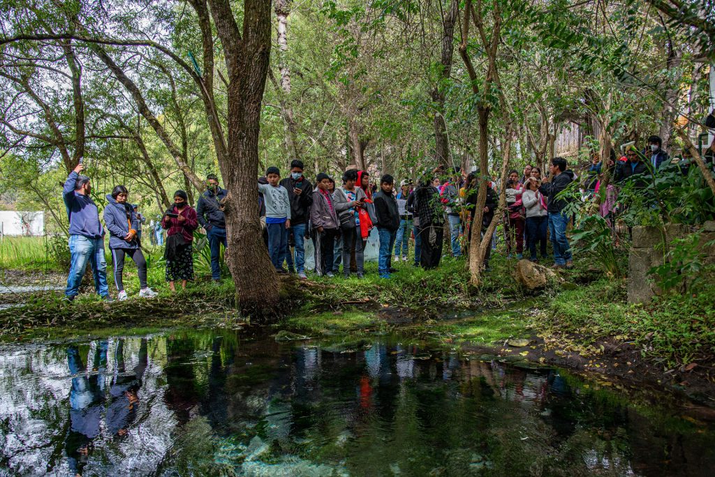 Marchan en Chiapas para exigir protección a ecosistemas de agua - marchan-en-chiapas-para-exigir-proteccion-a-ecosistemas-de-agua-2-1024x684