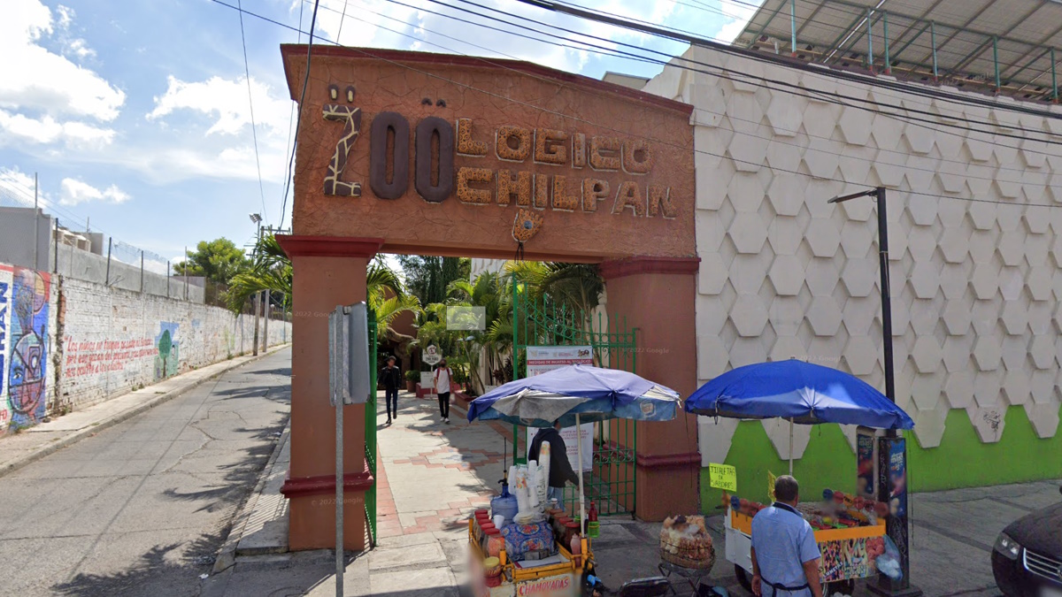 Profepa investiga irregularidades en zoológico de Guerrero donde habrían sacrificado a animales