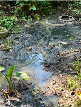 Una mañana en Chichicaspatl