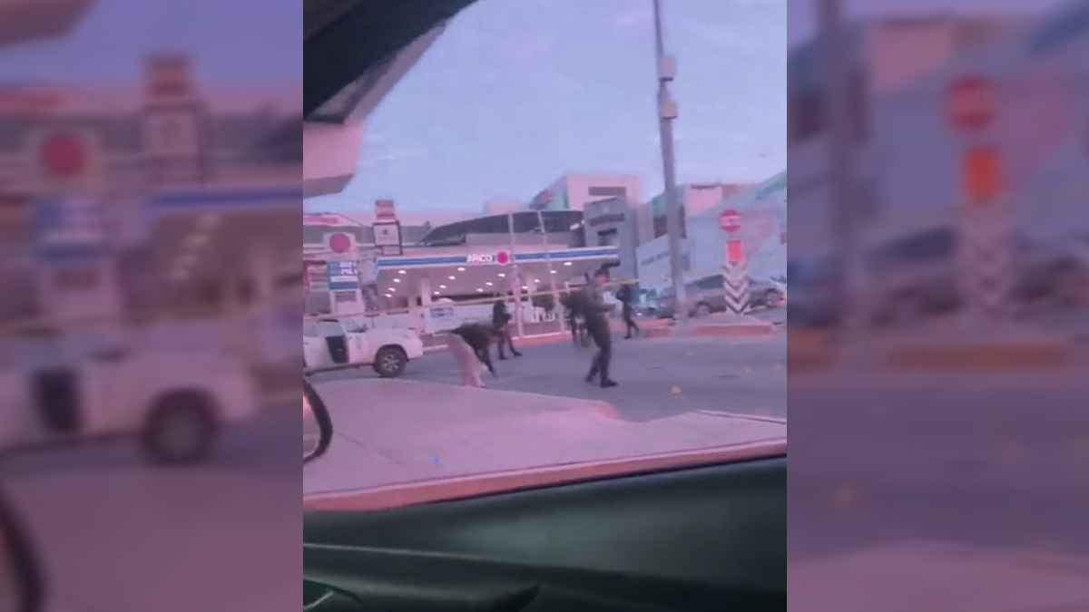 Disparan por segunda vez en el mes contra cámaras de vigilancia en Culiacán Disparan por segunda vez en el mes contra cámaras de vigilancia en Culiacán