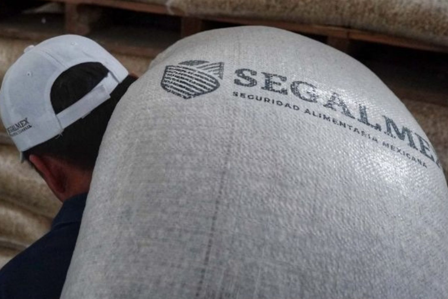 Gobierno reconoce afectación patrimonial de 2 mil 700 mdp en Caso Segalmex