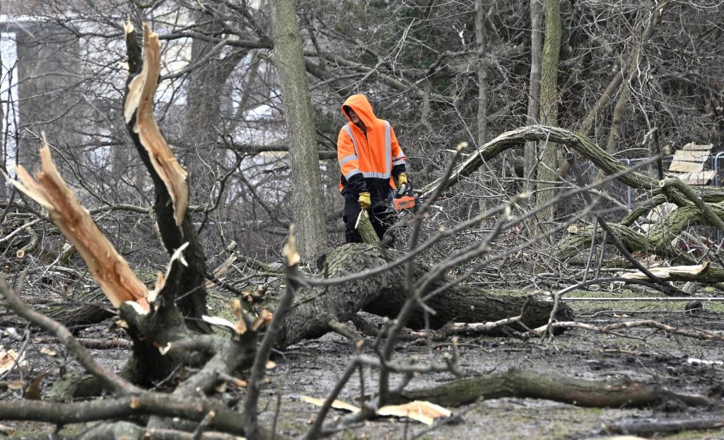 Aumenta a 26 cifra de muertos por tornados en EE.UU. - arboles-arrancados-por-tornados-en-eeuu-1024x622