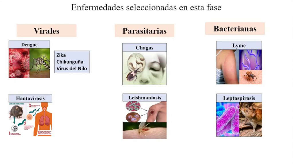 UNAM construye Atlas de enfermedades infecciosas - enfermedades-del-atlas-de-enfermedades-infecciosas-de-la-unam-1024x578