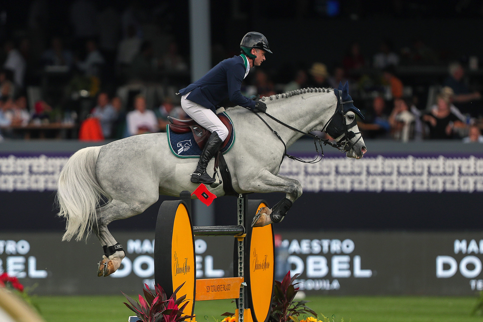 Lynch y lvarez primero y segundo en el inicio del Longines