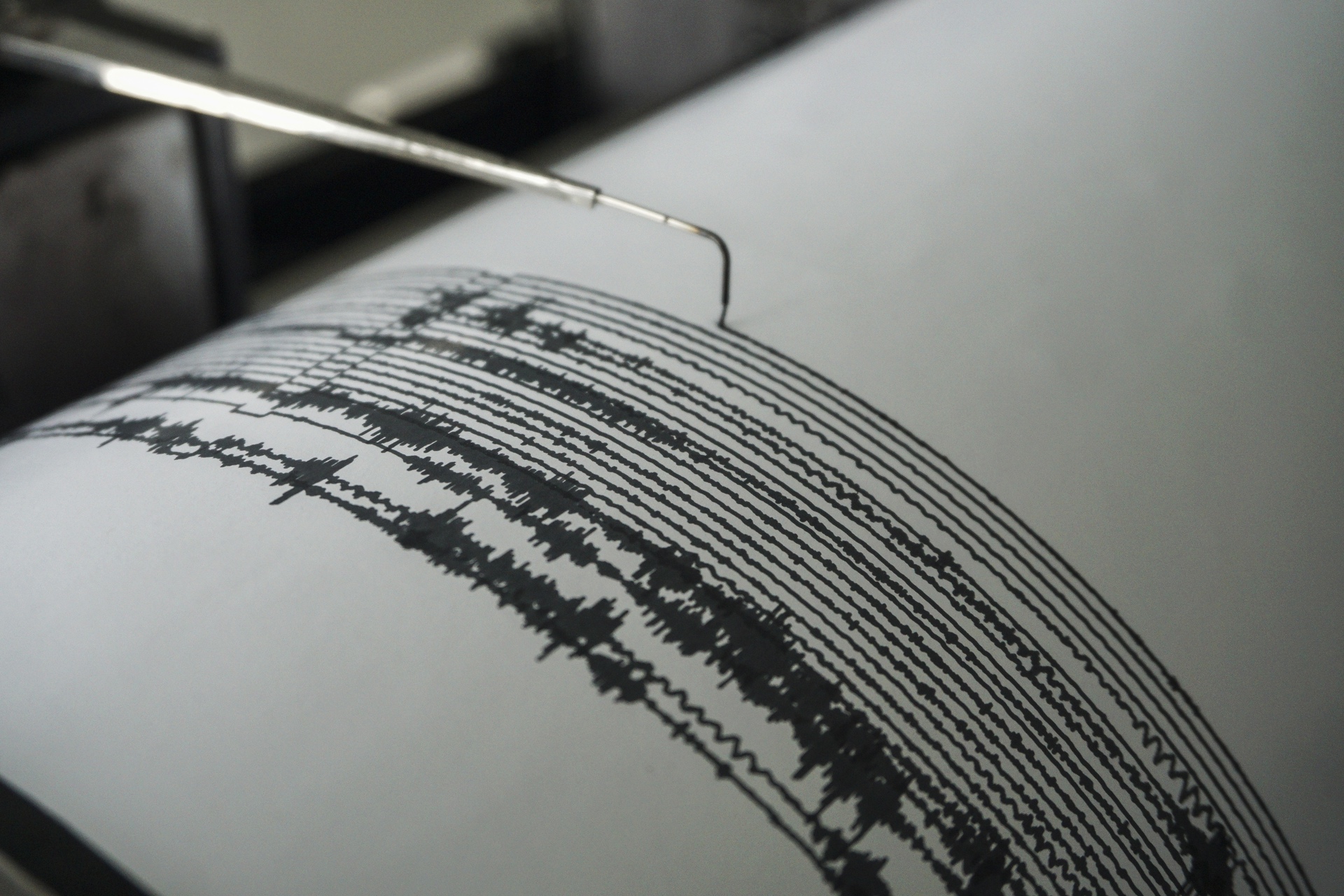 Gempa berkekuatan 7,3 SR melanda Selandia Baru bagian utara
