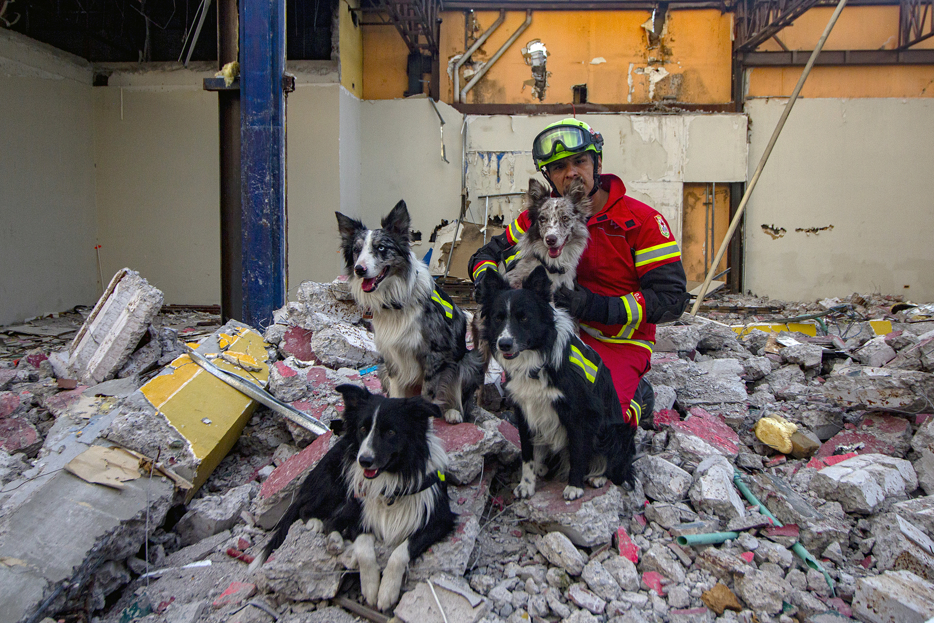 Entrenamiento de perros de rescate gana popularidad en México debido a terremotos