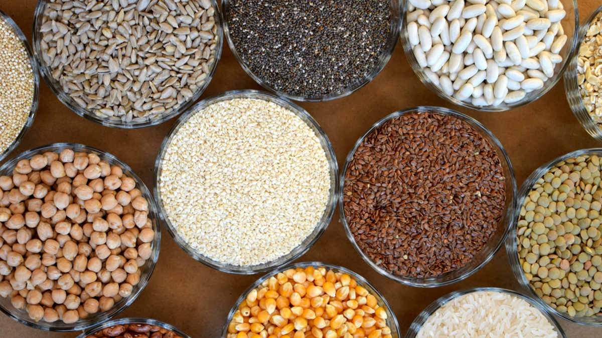 La crisis de la producción de granos en Sinaloa