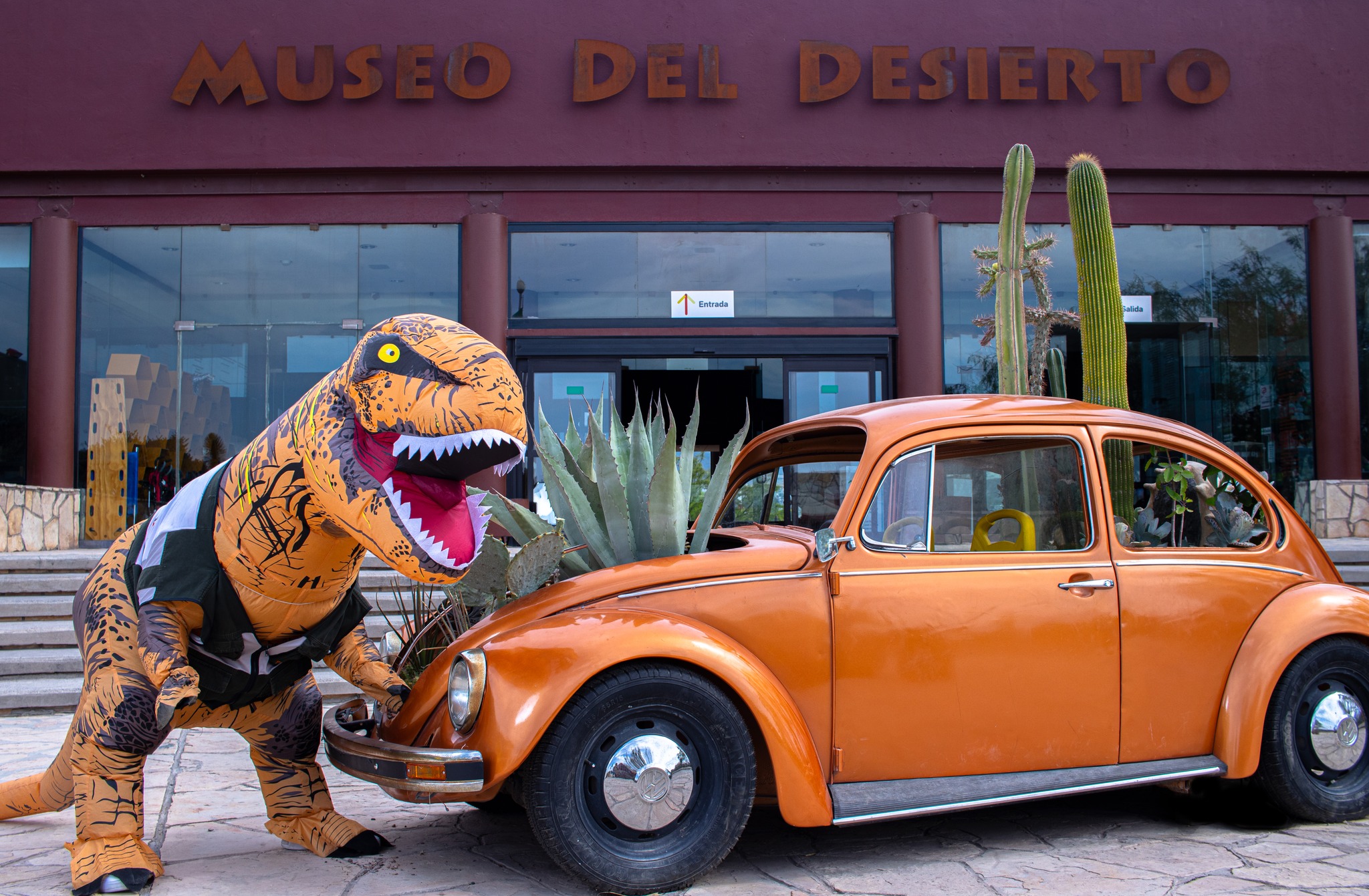 Desarrollo sostenible es un reto para los museos de México, advierte especialista